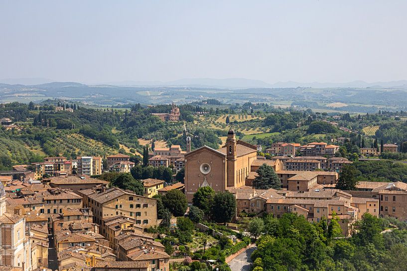 Blick auf Siena vom Torre del Mangia (Italien, Toskana) I von André Blom Fotografie Utrecht