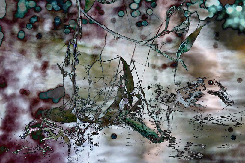 Zwischen Traum und Wirklichkeit by Heidrun Carola Herrmann