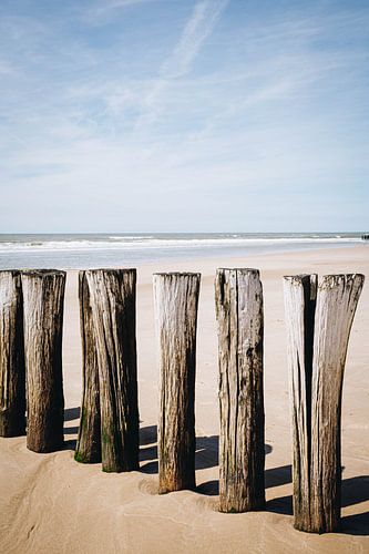 Foto van houten palen op het strand van Schoorl | zonnige kust in Nederland