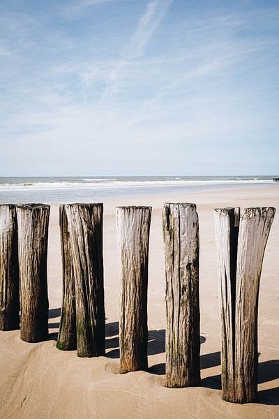 Photo of wooden poles on the beach of Schoorl | sunny coast in the Netherlands by Evelien Lodewijks