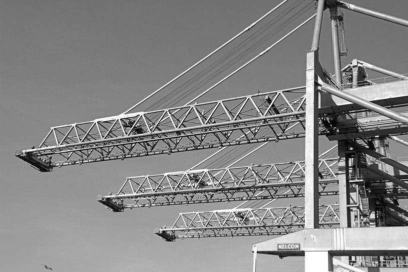 Harbour cranes Rotterdam by BriGit Stokman