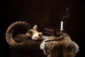 The one-horned sheep van John Goossens Photography