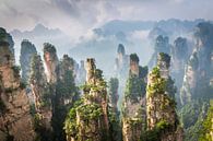 Landschap met zandsteen pilaren in China van Chris Stenger thumbnail