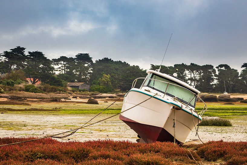 Hafen in der Bretagne in Ploumanach, Frankreich van Rico Ködder