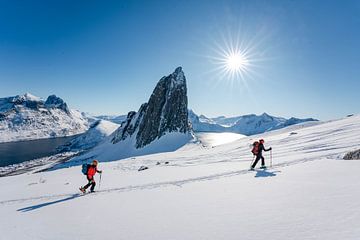 Skitochten in de winter in Hester bij Senja van Leo Schindzielorz