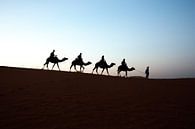 RIDING INTO SAHARA SUNSET van Paul Steenaart thumbnail