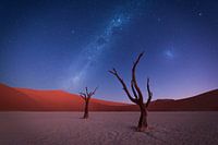 Deadvlei III