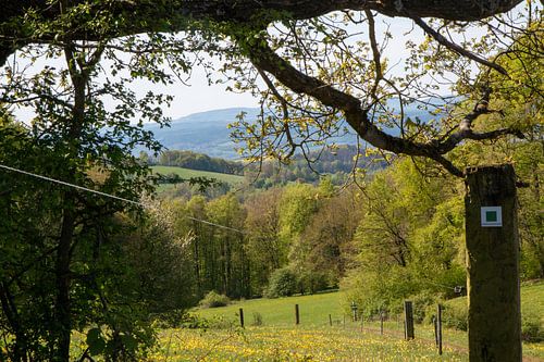Vue sur les montagnes