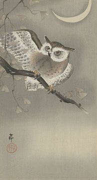 Long-eared owl in ginkgo by Ohara Koson