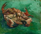 Vincent van Gogh, Krustentier, auf dem Rücken liegend von 1000 Schilderijen Miniaturansicht