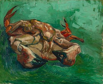 Vincent van Gogh, Crustacean, liggend op zijn rug