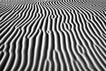 Licht en schaduw van zand in de woestijn | Sahara