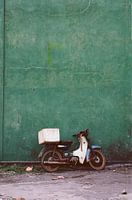 Vintage scooter in a backyard in Galle, Sri Lanka