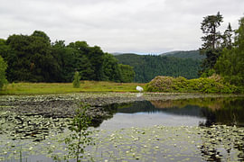 Seerosenteich an den Plodda Falls.