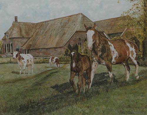 Warmbloedpaard met veulen