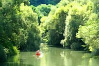 In green splendour.