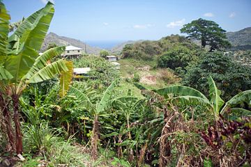 Grenada - Landschap bij de hoofdstad St. George's van t.ART