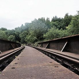 Oude spoorweg  brug sur Tiffany Venus