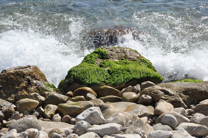 Agua del Mar by Fons Hayes