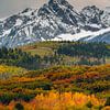 San Juan Mountains Vertical Autumn Photo - Colorado Fall Colors Landscape Print by Daniel Forster