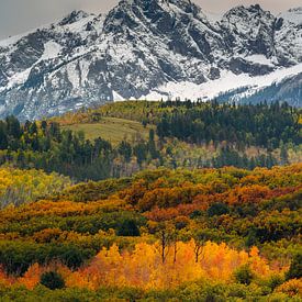San Juan Mountains Vertical Autumn Photo - Colorado Fall Colors Landscape Print by Daniel Forster