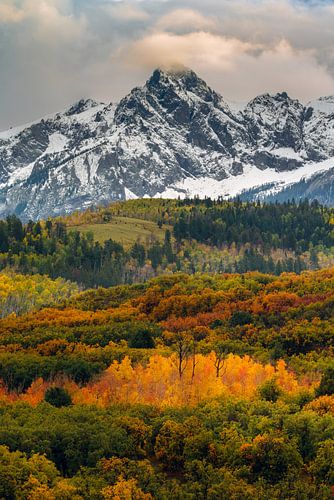 San Juan Mountains Verticale Herfstfoto - Colorado Herfst Kleuren Landschap Print van Daniel Forster