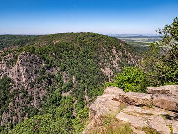 View of the Harz National Park by Animaflora PicsStock