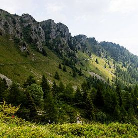 De flanken van de Monte Pancugolo in de Dolomieten bij Madonna di Campiglio (II). van André Blom Fotografie Utrecht