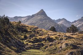 Peaks Tower Over Lush Valleys in Posets-Maladeta Natural Park, S by PhotoCluster