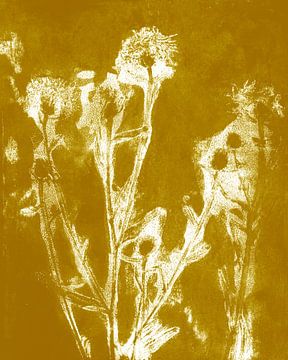 Fleurs de prairie en blanc sur ocre. Art botanique moderne et minimaliste. sur Dina Dankers
