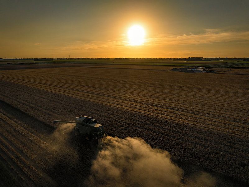 Combine oogst tarwe tijdens een zomerse zonsondergang van Sjoerd van der Wal Fotografie