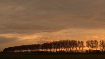 avondlicht van Yvonne Blokland