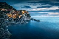Blaue Stunde über Manarola. Cinque Terre, Italien von Stefano Orazzini Miniaturansicht