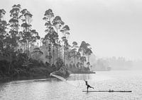 Fishing in the early morning