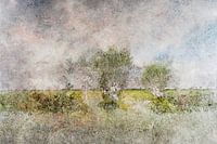 the wind in the willows