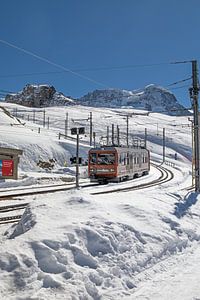 Die Zahnradbahn bei der Einfahrt in die Station Riffelberg
