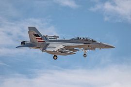 Een Boeing EA-18G Growler van VAQ-140 "Patriots" vlak voor de landing gefotografeerd bij N van Jaap van den Berg