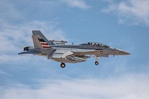 Eine Boeing EA-18G Growler der VAQ-140 "Patriots" fotografiert kurz vor der Landun von Jaap van den Berg