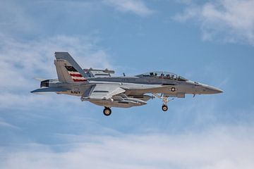 Een Boeing EA-18G Growler van VAQ-140 "Patriots" vlak voor de landing gefotografeerd bij N