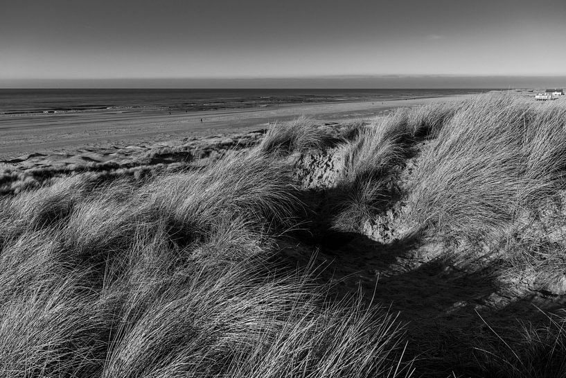 Au sommet de la dune par Rob Donders Beeldende kunst