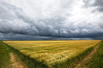 Dreigende luchten boven het Groningse platteland van Peter Kuipers