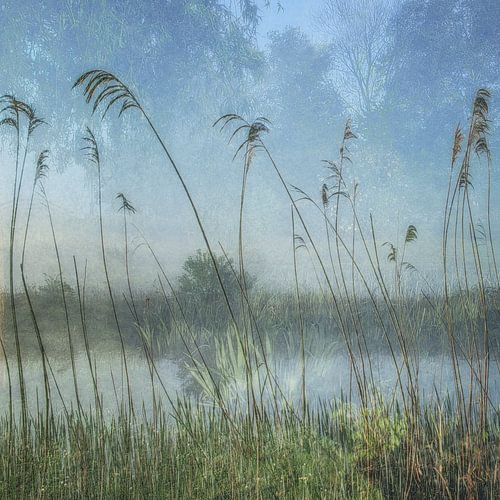 Ochtend van Monique van Velzen
