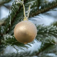 Beautiful golden Christmas ball in the Christmas tree