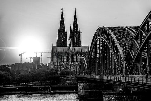Cologne Panorama Cologne Cathedral black and white