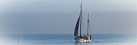 Waddenzee