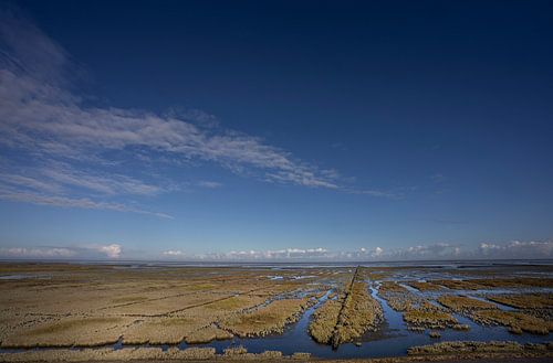 Les vasières d'Uithuizer