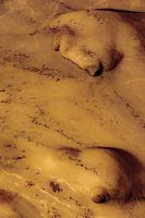 Zwerge oder Trolle auf goldgelber Höhlenwand.