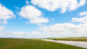 Weite Landschaft in den Niederlanden