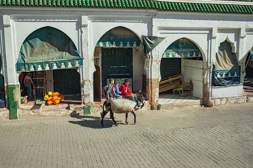 Jongens en een meisje op een ezel in Marokko