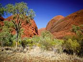 Runde roten Felsen von Kata Tjuta, Australien von Rietje Bulthuis Miniaturansicht
